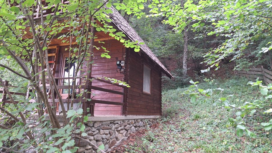 VANZARE ANSAMBLU CASUTE BRADULET ARGES - Poză 3