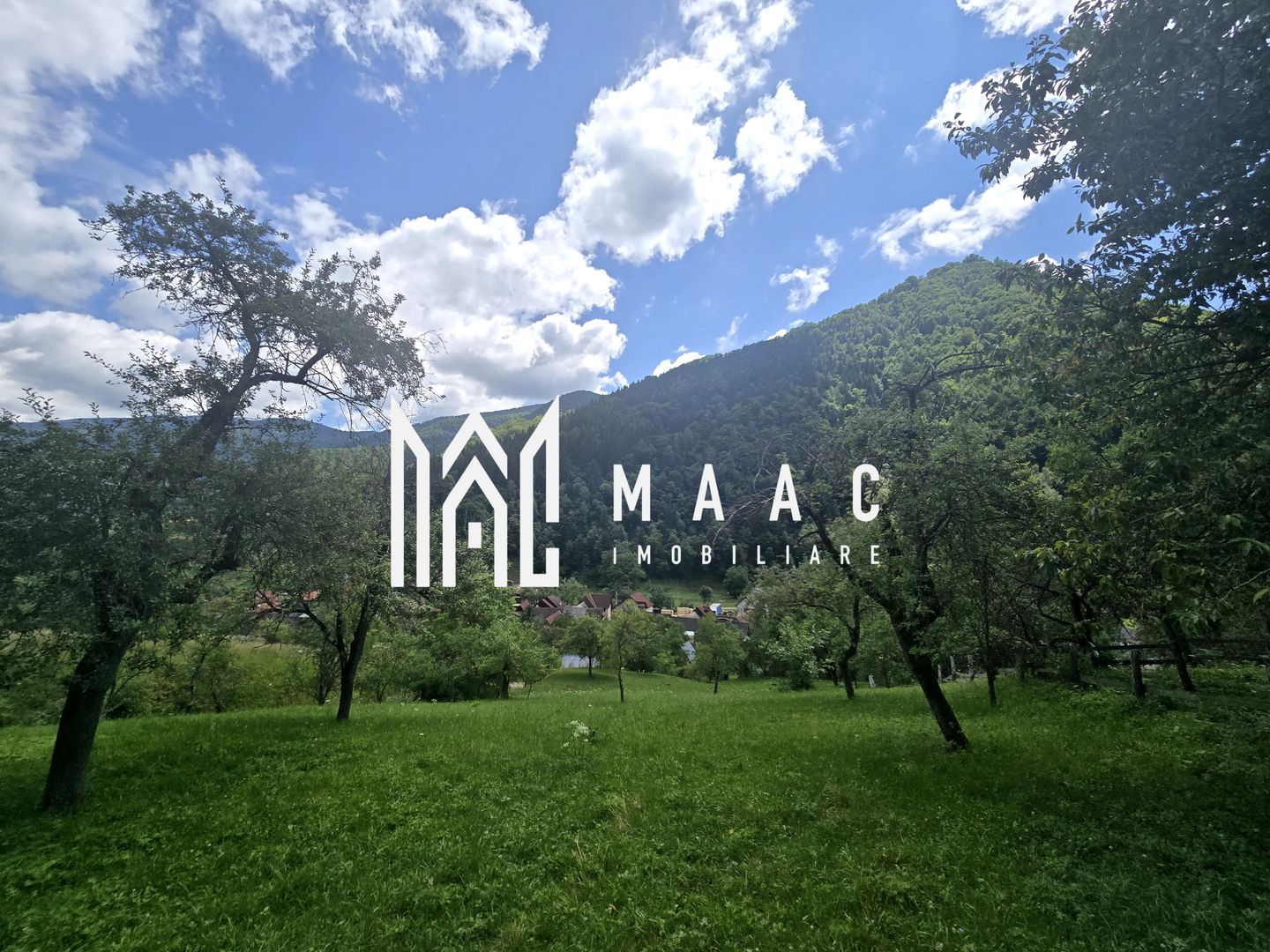Teren | 2946MP | Priveliște Panoramică | Râu Sadului - Poză 7