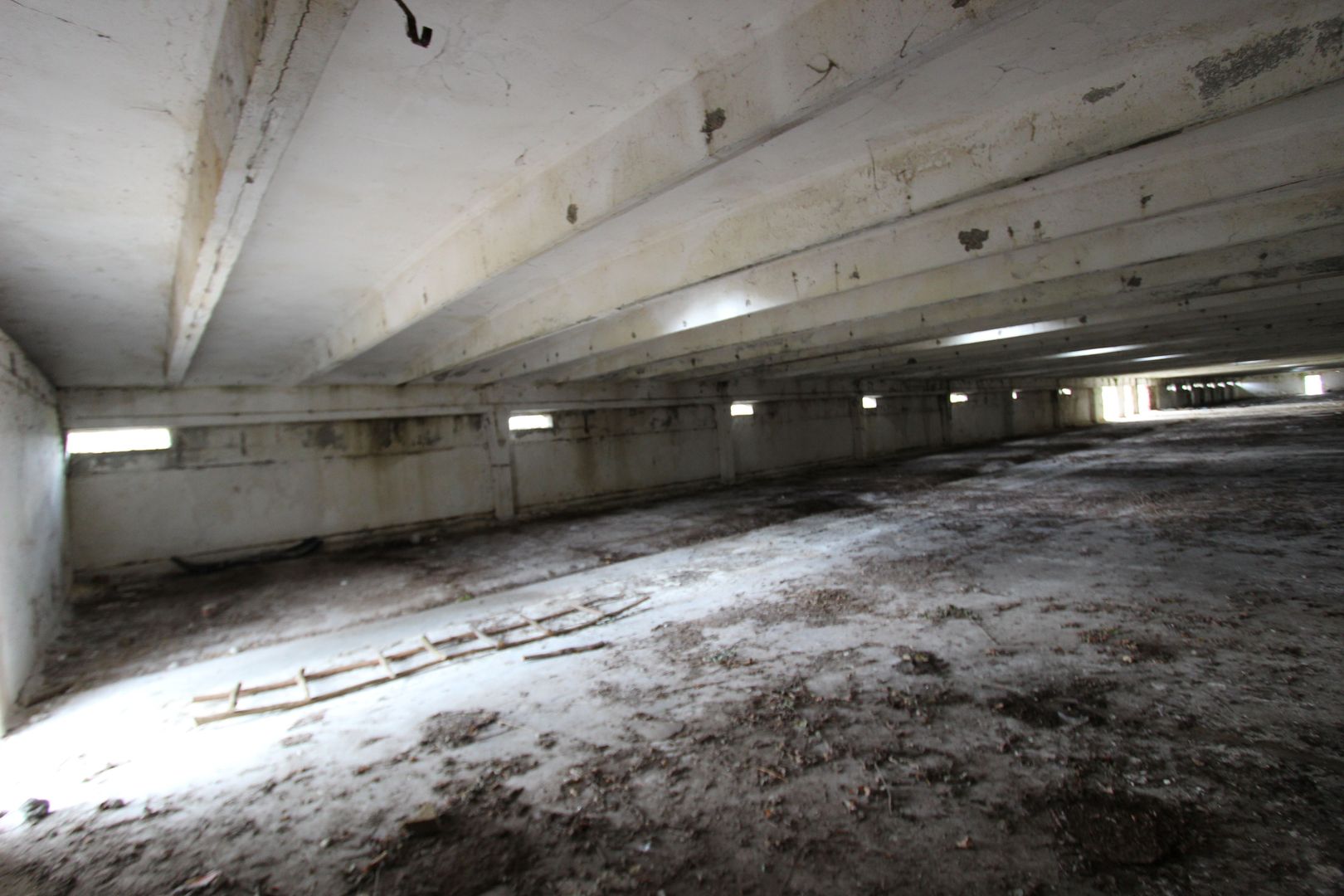 Vanzare hale Mosnita Noua-fosta Ferma 7 - Poză 19