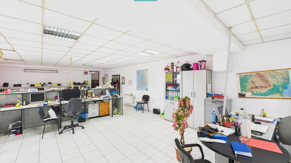 Hală de producție, cu birouri și teren, în Sebiș - Poză 34