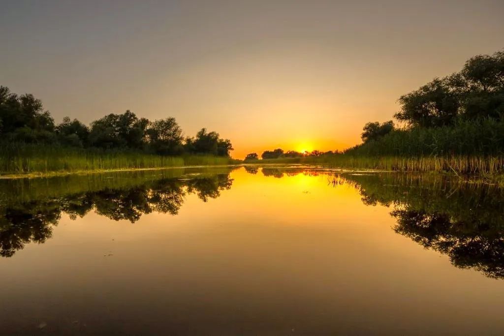 Oportunitate de investitie| Delta Dunarii |Mila 23| pensiune activa - Poză 1