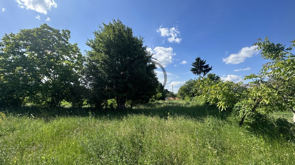 Teren intravilan de vanzare | 11.000 mp | Ghirdoveni | Comision 0% - Poză 12