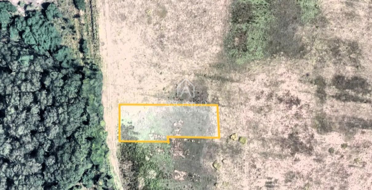 Teren 2.500 mp P+6 | Lângă Pădurea Băneasa | Investiție Premium - Poză 2