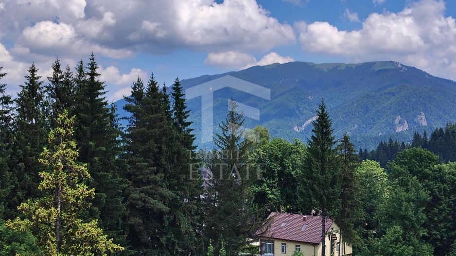 STUDIO centru Predeal | Modern - Poză 1
