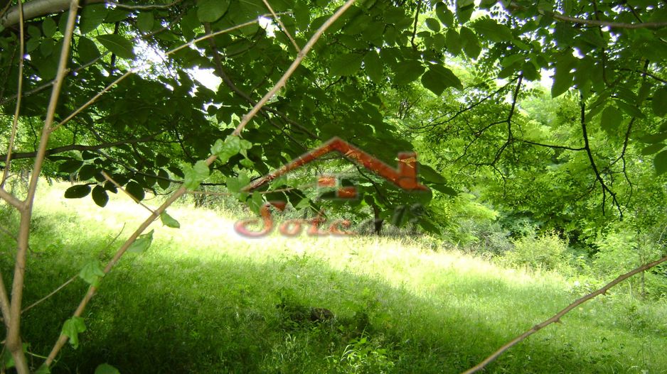 Teren de vanzare Cornu 3074 mp - Poză 2