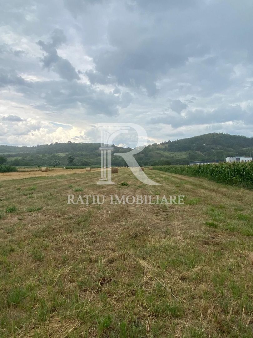 Teren Intravilan | 10.012 mp | Nușfalău | Sălaj - Poză 3