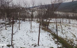 Teren intravilan 704 mp, acces asfaltat, priveliste Padurea Breazu - Poză 17