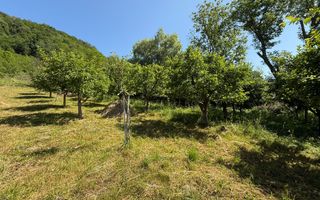 Vanzare casa cu 4 camere+anexe într-o zonă de poveste – Bezdead - Poză 19