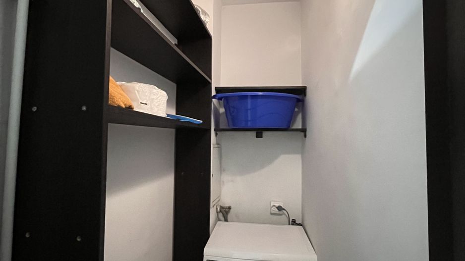 Apartament Victoriei | Banu Manta - Poză 9