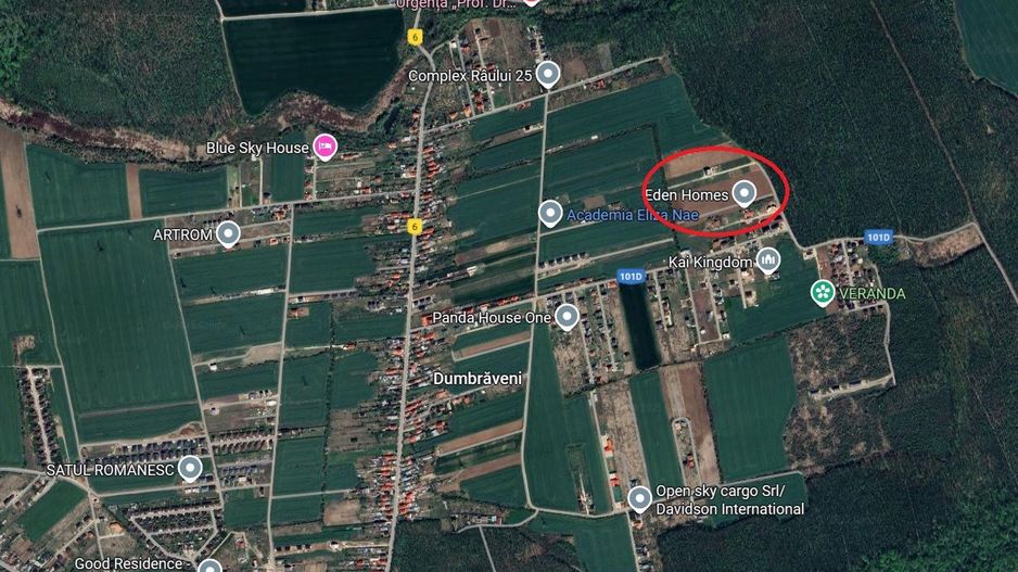 Balotesti- Dumbraveni- Padure - Poză 1