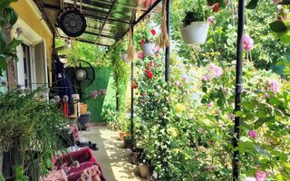 Casa 3 camere Sacuieni zona Garii - Poză 7