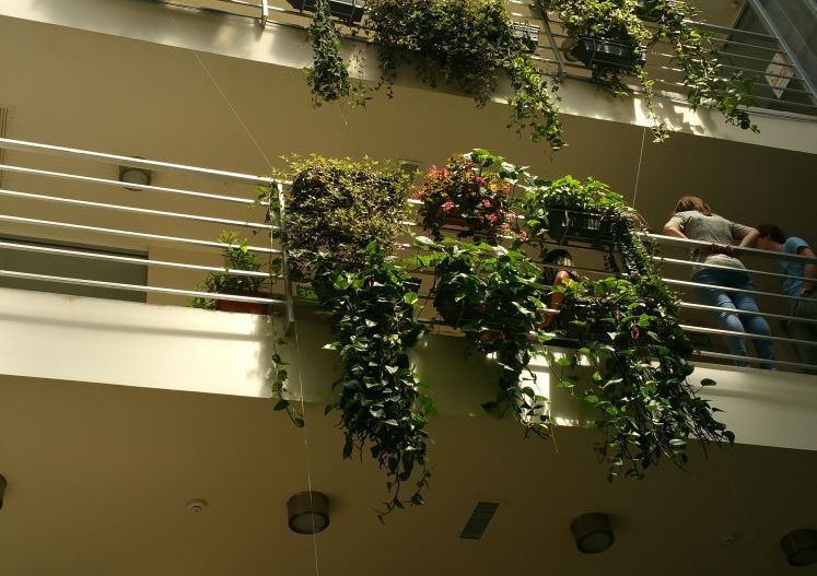 Cladire ultramoderna de birouri I 1.350mp I Ultracentral I COMISION 0% - Poză 36