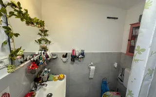 Casa individuala in Arpasu de Sus, teren mare, partial renovata - Poză 16