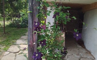 Casa Saseasca de vanzare  in  Somartin  / Comision O % - Poză 12