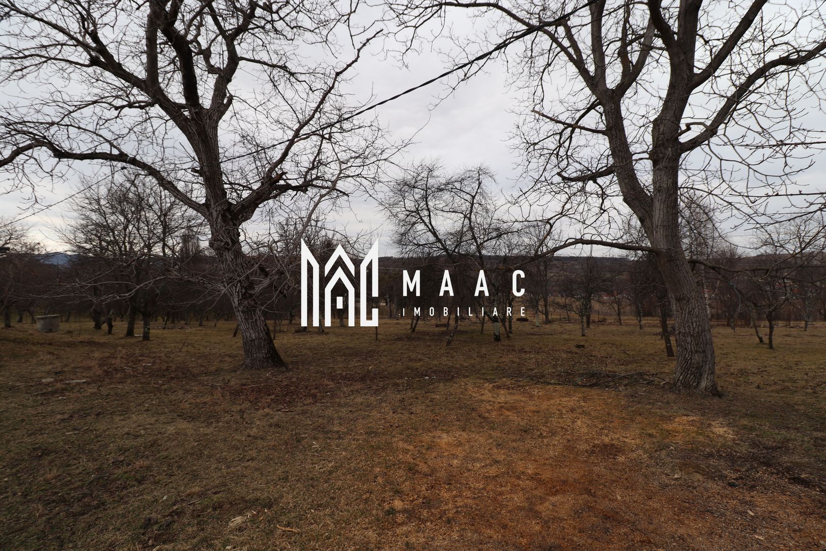 Casă individuală I 4 camere I teren 6000 mp I Cisnădie - Poză 2