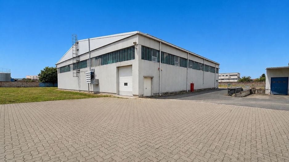 Hala industrială, Sanicolau Mic, suprafata 1.354 mp - Poză 1