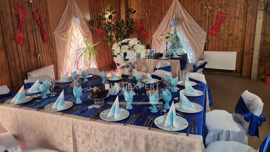 VILA - PENSIUNE CU RESTAURANT + SI TEREN 6406 MP, VALEA MARE PRAVAT, - Poză 21