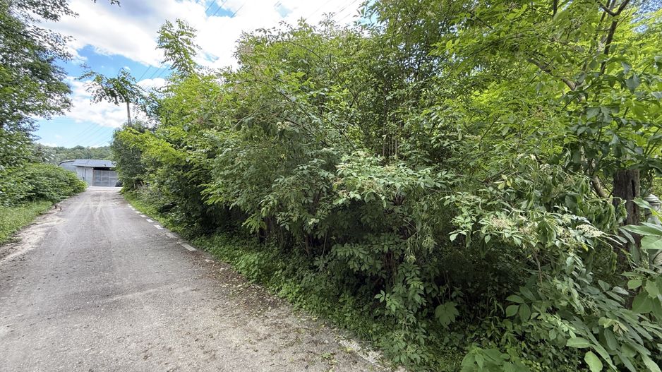Teren intravilan 683 mp deschidere la strada asfaltata ! - Poză 4