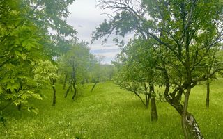 Teren intravilan Sotrile 6762 mp – Investitie, camping, agroturism - Poză 2