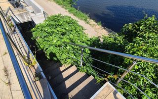 Vilă cu deschidere la lac I  Piscină proprie și acces rapid către București* - Poză 16