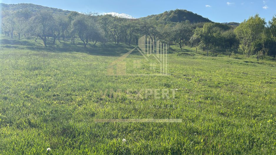 TEREN 4568 MP MIHĂEȘTI ARGEȘ - Poză 8