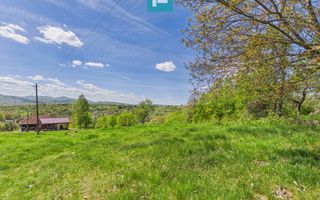 Proprietate rară cu 24.270 mp, în Măgulicea, Arad! - Poză 25