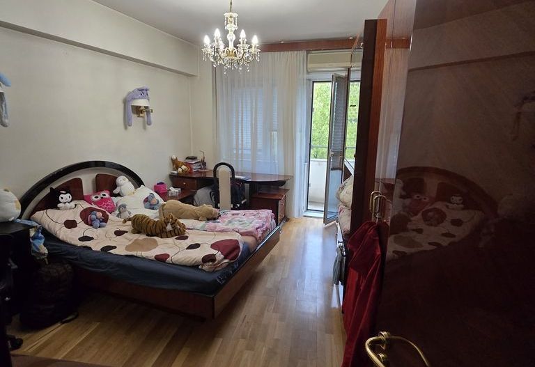 Vânzare apartament 4 camere Vasile Lascar 33 - Poză 13