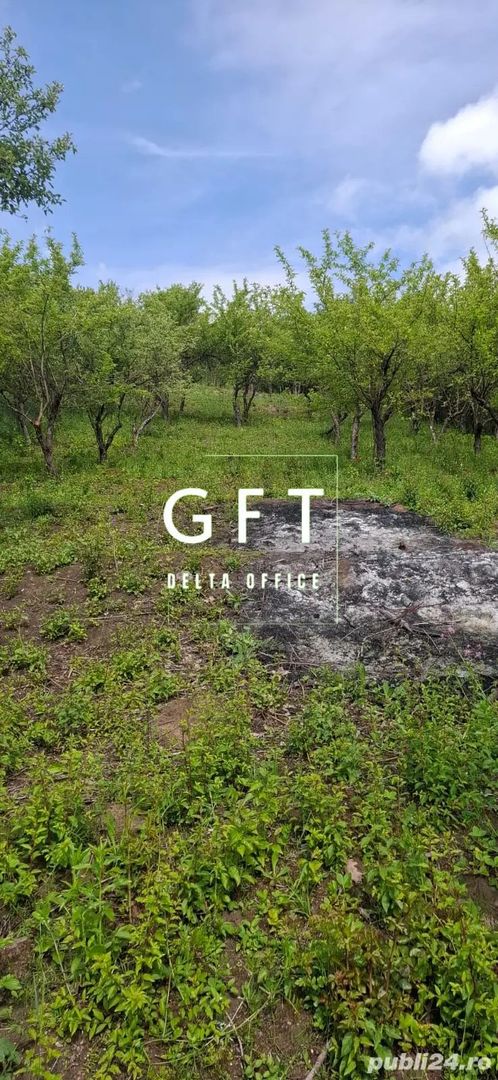 De vanzare! 3 parcele de teren intravilan - Poză 4