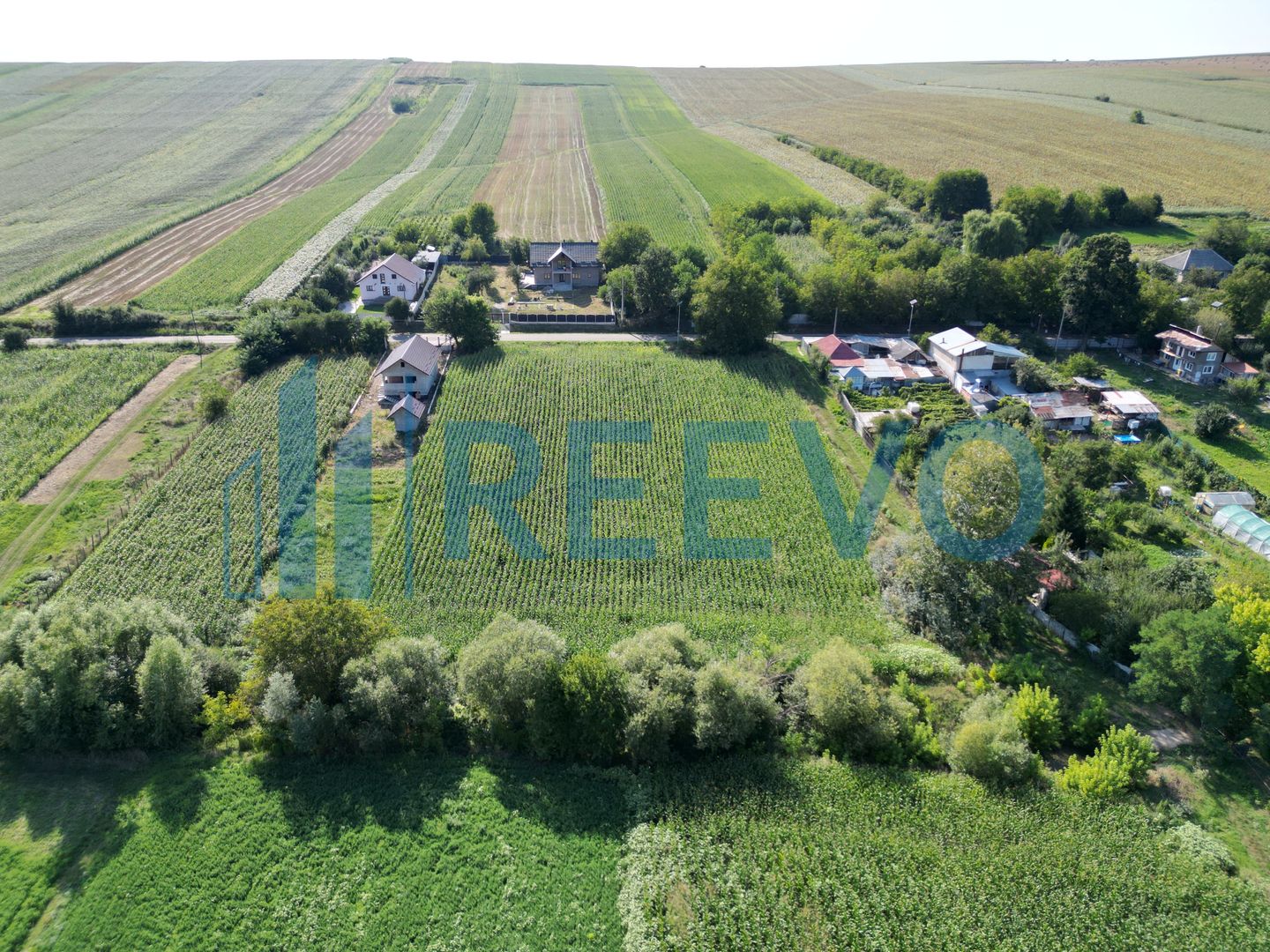 Teren intravilan de vânzare, Sat Bogdănști, Com. Traian - Poză 8