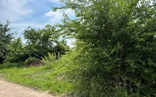 Teren intravilan 498,02 mp langa pădure , strada privata Corbeanca - Poză 15