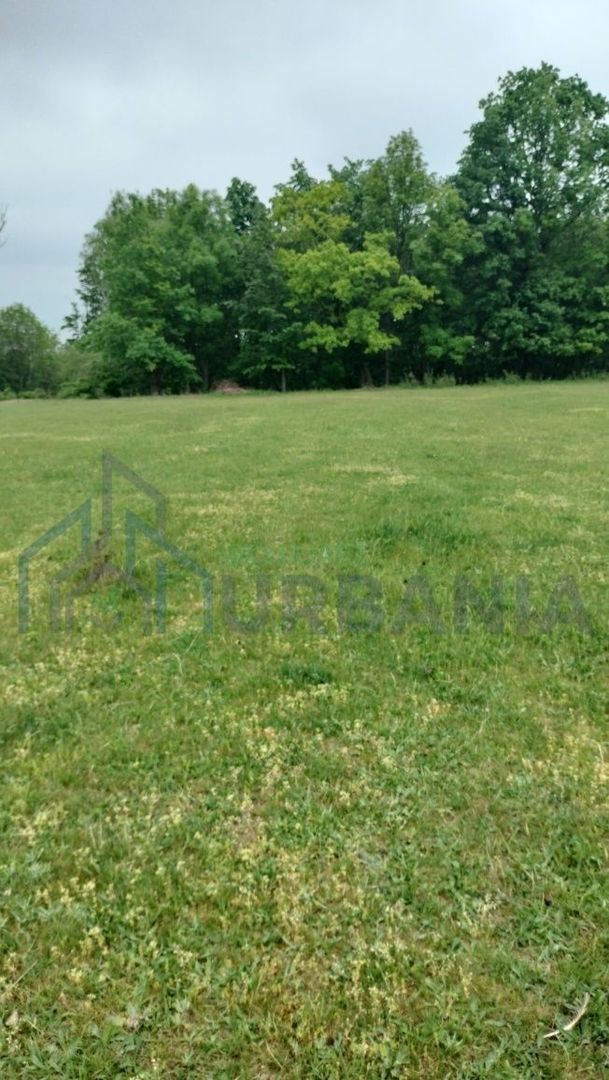 Teren intravilan 7.200 m2, Bordea, Grajduri, ideal case/ investitie - Poză 6