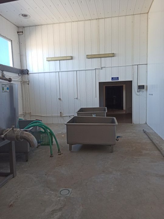 HALA ideala pentru PRODUCTIE ALIMENTARA, Poiana, Ovidiu – 827 mp, teren 4066 mp - Poză 22