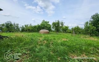 Casa mare, 3 corpuri de cladire, sat Lalasint - Poză 8