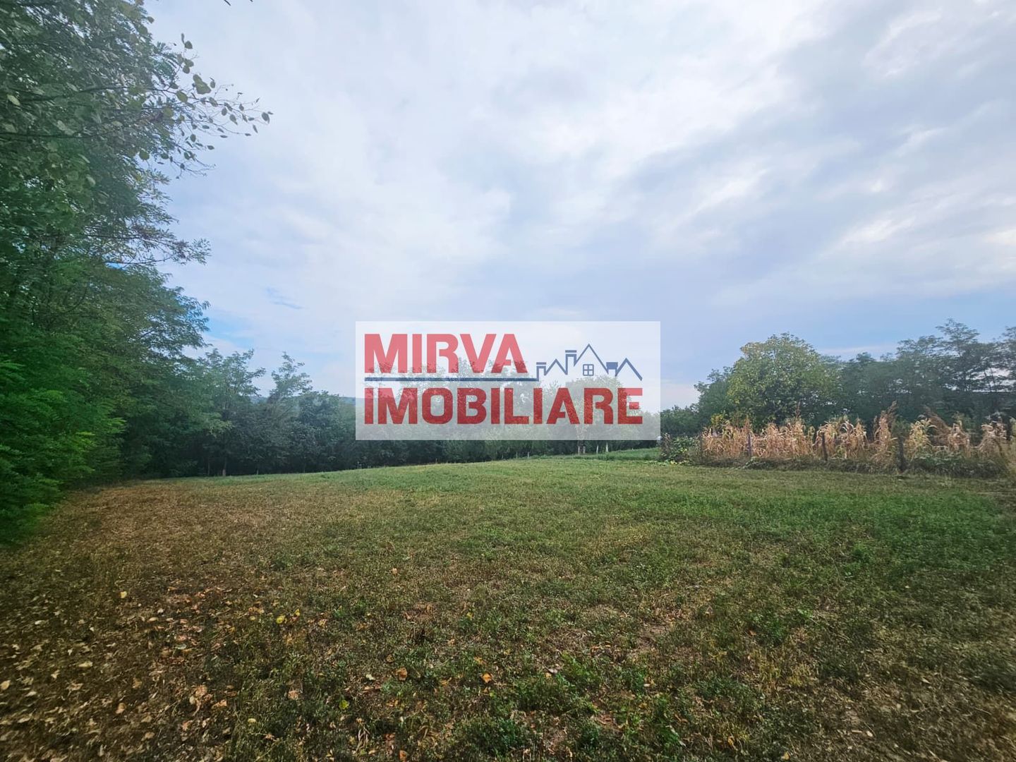 🏞️ Teren intravilan, cu priveliște – Vălenii de Munte - Poză 3