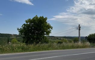 Teren intravilan  ,1020 mp, Sibiu, Daia Noua