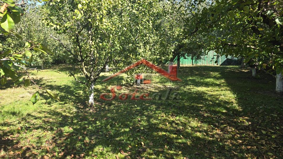 Vilă elegantă și casă independentă pentru oaspeți - Banesti - Poză 40