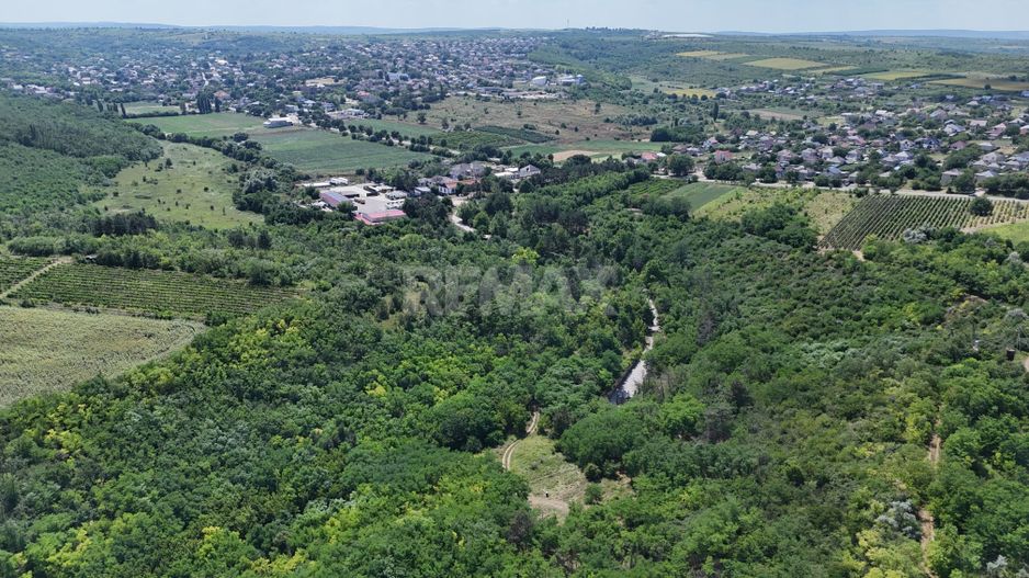 Teren de 37.5 ari în inima pădurii – Oportunitate unică de investiție lângă Crama Mileștii Mici! - Poză 3