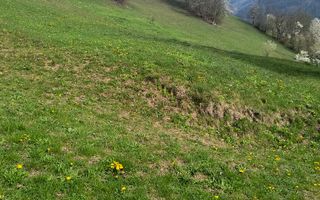 Un colt de rai in Apuseni I viața ca pe vremuri - Poză 10