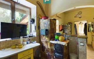 Casă cu livadă de pomi în Dorobanți - Poză 7