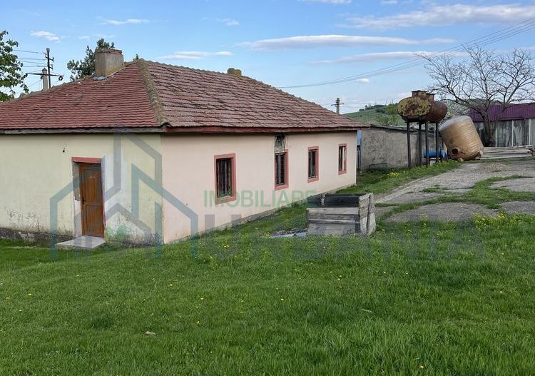 Teren 4000 mp cu casă și construcții anexe, Buhalnița, județul Iași - Poză 4