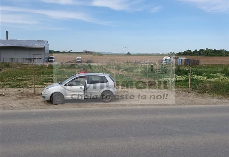 TEREN TOMESTI 1350 MP - Poză 2