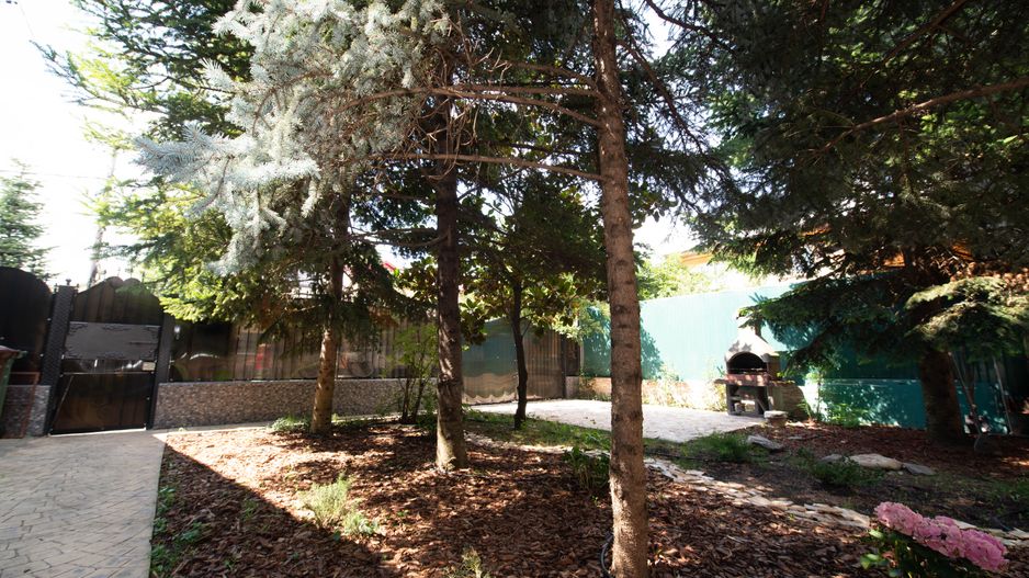 Casa de vanzare 483mp suprafata totala si teren 494mp, Sector 1 - Poză 35
