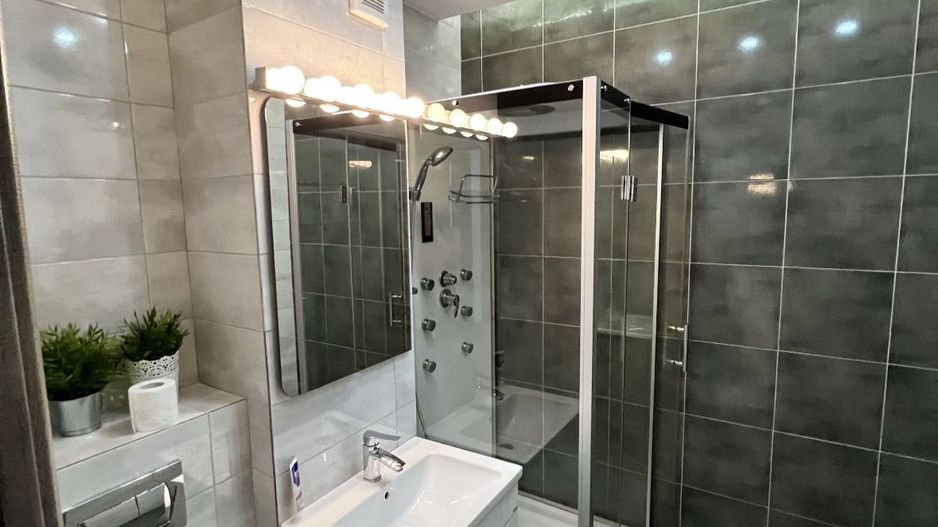 3 Camere Pet Friendly Lujerului Plaza Politehnica Grozavesti - Poză 8