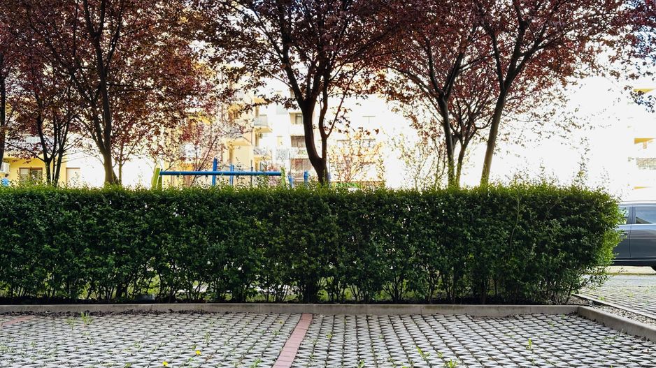 VANDUT - IRIS 12 Aradului - Mobilat & Utilat | Terasa & Parcare | Comision 0% - Poză 35