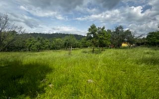 TEREN INTRAVILAN 4600 MP, VOINESTI, LERESTI, ARGEȘ - Poză 11