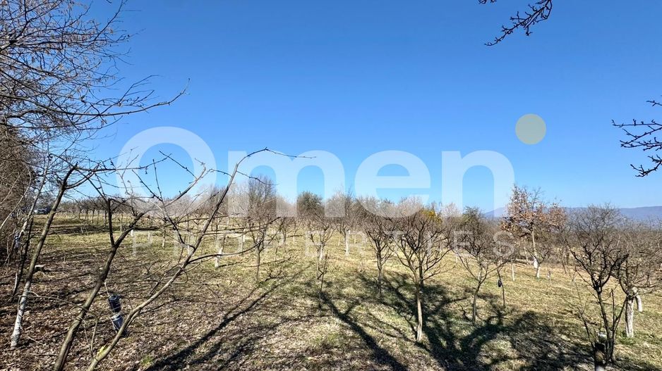 Teren intravilan | Berința | 5800 mp - Poză 5