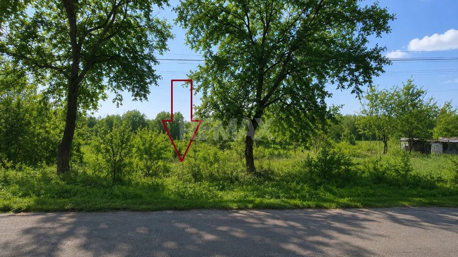 Teren pentru construcții – 33 ari, Botnăreștii Noi, Raionul Anenii Noi - Poză 2