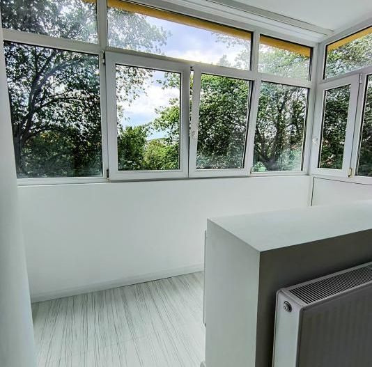 Ion Mihalache- Pta Chibrit- Calea Grivitei - Poză 8