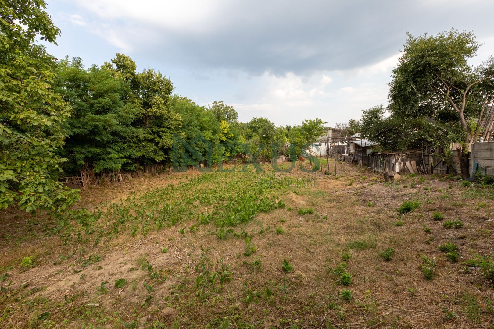 TEREN 949 MP CU CASĂ – STR. MILITARI, BACĂU | OCAZIE RARĂ - Poză 2