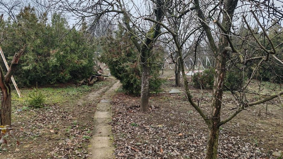 Teren 2.600 mp, utilități, Str. Merișor – Giurgiu - Poză 11